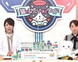 tvk猫のひたいほどワイド　1月のテーマは、「お口の健康から健康寿命の延伸を！高齢者の方のオーラルケア方法について！」です！